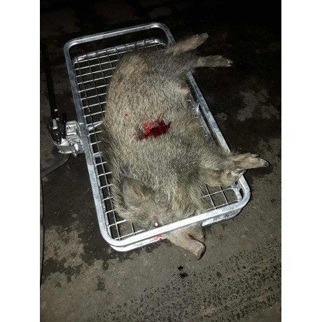 Nosič na zvěř - držák na tažné uzamykatelný, sklopný, rychloupínatelný
