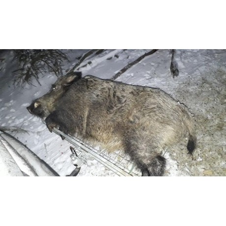 Nosič zvěře + šroubová sklopná hlavice